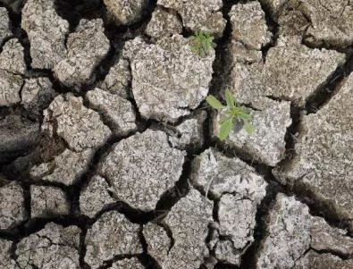 Невиждана суша в Чили 