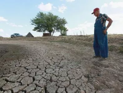 САЩ очакват най-слабата реколта от 6 години насам заради сушата