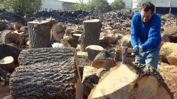 Дървата и въглищата също поскъпват