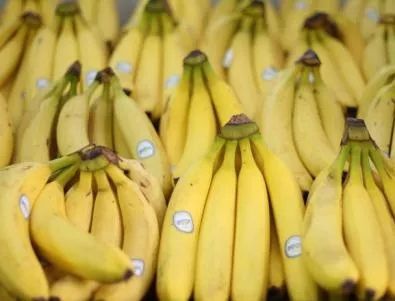 Нов спрей пази бананите от бързо загниване