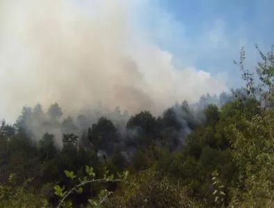 Продължават гасенето на пожарите в Кюстендилско