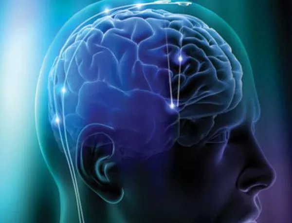 Учените "пробиха" човешкия мозък