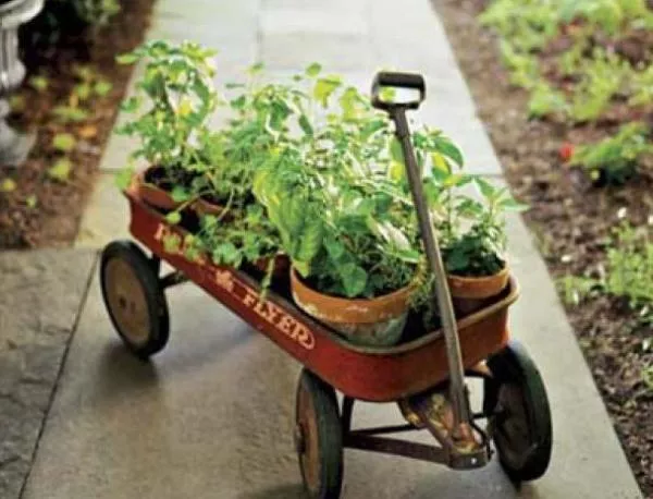 10 прости трика в градинарството (част І)