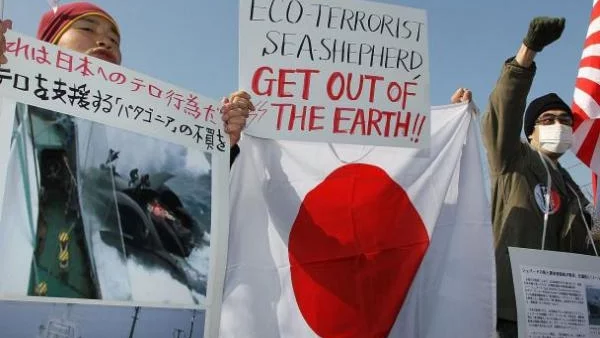 Япония продължава лова на китове 