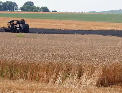 Земеделците притеснени за сеитбата на пшеница