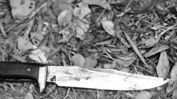 17-годишна рани съученик с нож 
