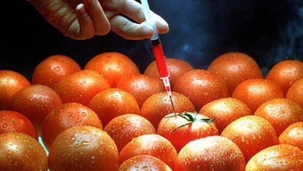 Калифорния отказа да обозначава ГМО храните