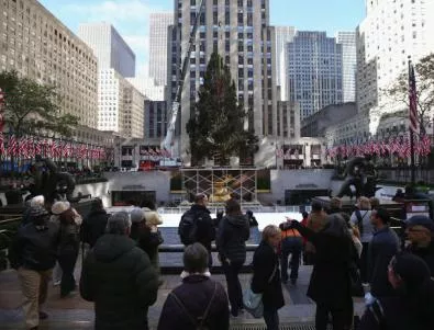 Ню Йорк се сдоби с 80-годишна коледна елха