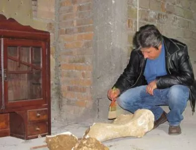 Откриха раменна кост на мамут край Русе