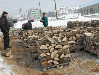 Евтините дърва от Горския фонд са кът