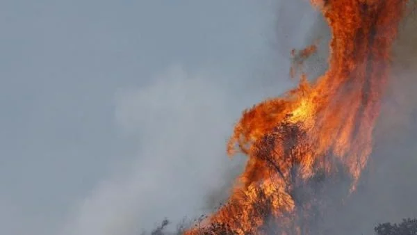 14 инвалиди загинаха при пожар в Германия