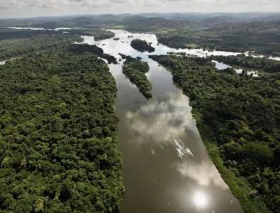 Амазонската джунгла изчезва