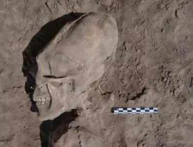 Откриха загадъчни удължени черепи в гробница в Мексико