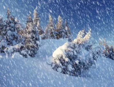 Снежна буря зарина част от Канада
