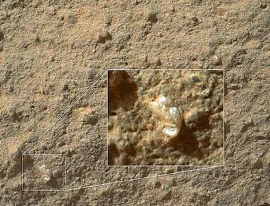 Заснеха цъфнало цвете на Марс?