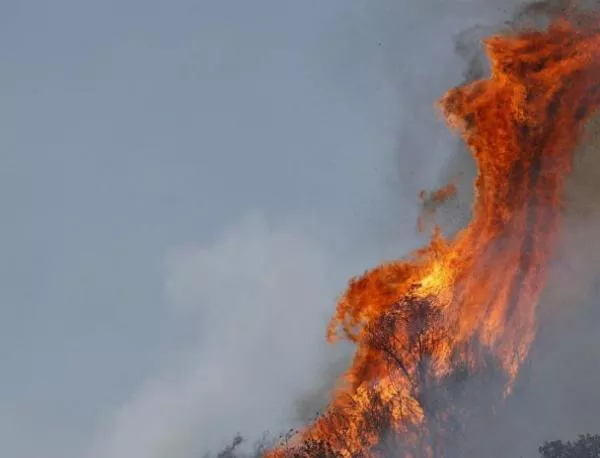 Опустошителни пожари бушуват в Австралия