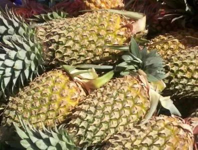 Семейство от Русе се натрови с ананас от Коста Рика