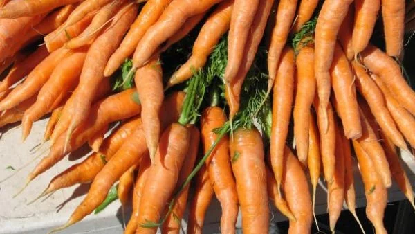 Моркови с олово от Турция на българския пазар