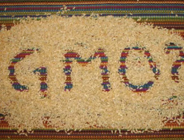 ЕС се допитва до европейците за ГМО културите