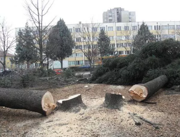 Убиха "Райската градина" в Благоевград