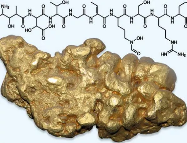 Учените откриха кое вещество може да извлича злато от водата