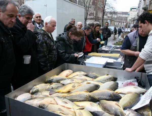 Европейският парламент иска тотална промяна на промишления риболов