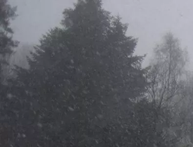 Мокър сняг вали по високите части на общините Смолян и Чепеларе