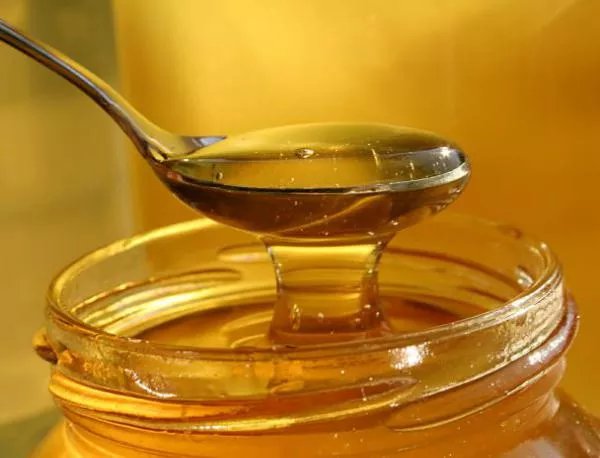 ГМО в пчелния мед - реална заплаха дори на европейско ниво