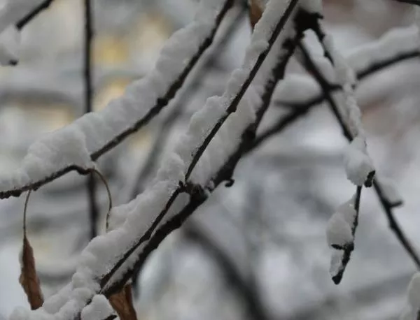 В Западна и Централна България ще вали сняг