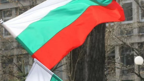 Рубини: Българското правителство се срина заради икономиите