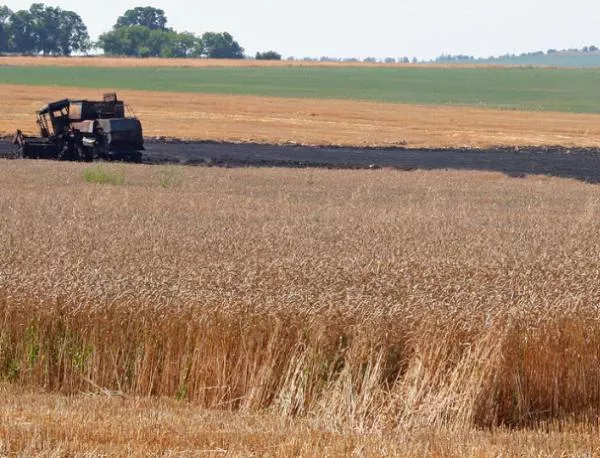 Зърнопроизводителите искат да участват в служебното правителство