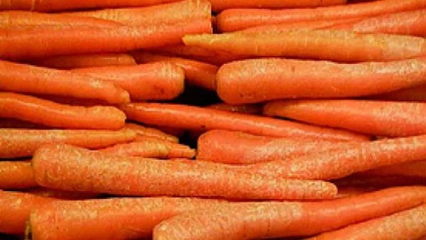 Златна халка порасна на морков