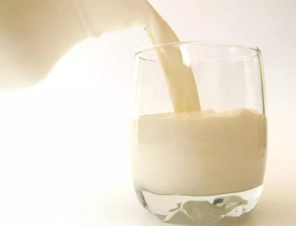Опасно сурово мляко в София, Габрово и Видин 