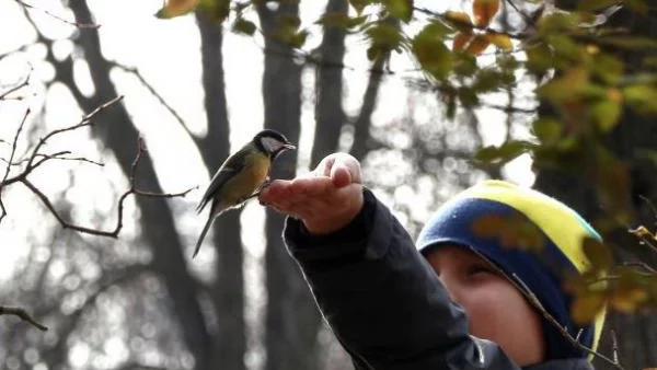 Хиляди българи се включиха в кампанията "Зрънце любов"