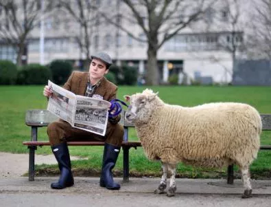 Париж ще се поддържа зелен с овце, а не с косачки