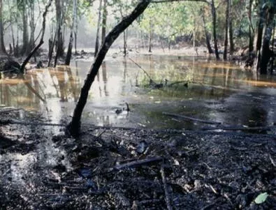 Нефтени петна плуват в Амазонка, Перу в опасност