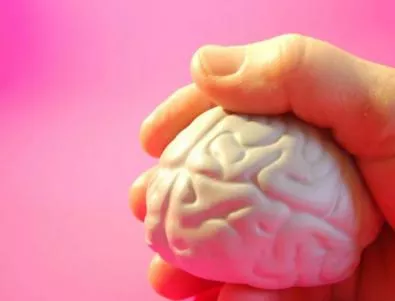Възможно ли е присаждането на човешки мозък?