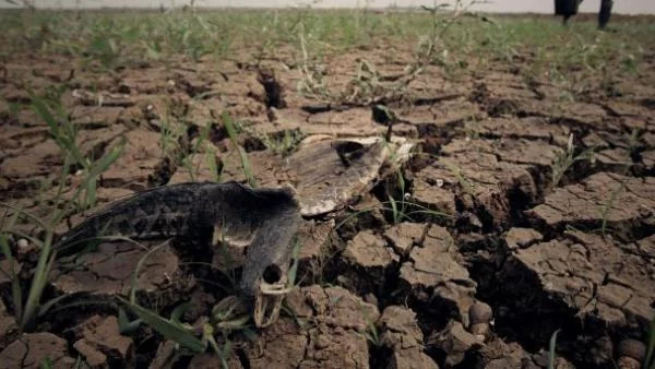 Повече от 6.6 млн. души засегнати от сушата в Китай