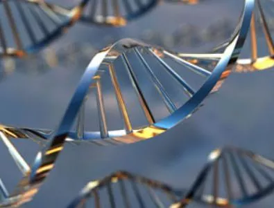 Търсят извънземно послание в генетичния ни код