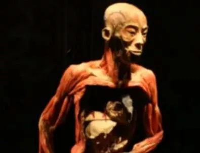 Уникална изложба за човешкото тяло отваря врати