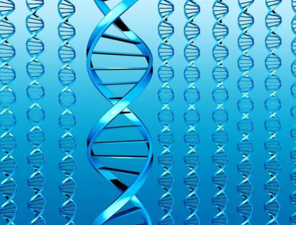 Джеймс Уотсън и Франсис Крик представят в научна статия двойната спирала на ДНК