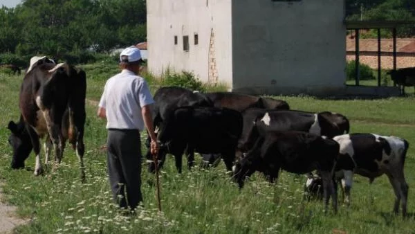 Хайдушки времена за старците на България