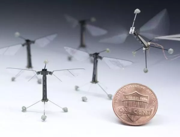 Робот-насекомо действа като разузнавач