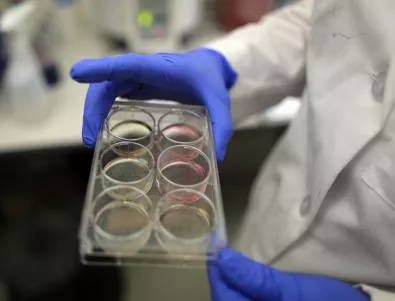 Нов вид бактерия може да помогне за контрол на маларията  