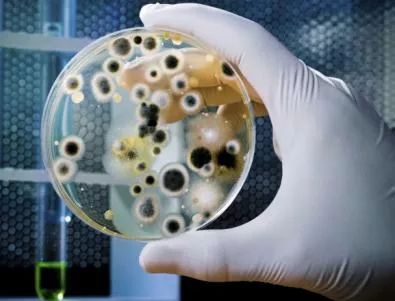 Няма случаи на заразени с новия коронавирус в България