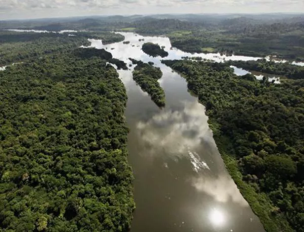Бразилия е намалила значително обезлесяването на Амазония 