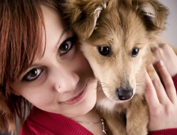 Регистрират домашните кучета във Велико Търново