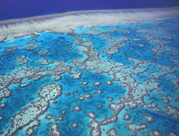 Австралия призна за влошаването на условията в Големия бариерен риф
