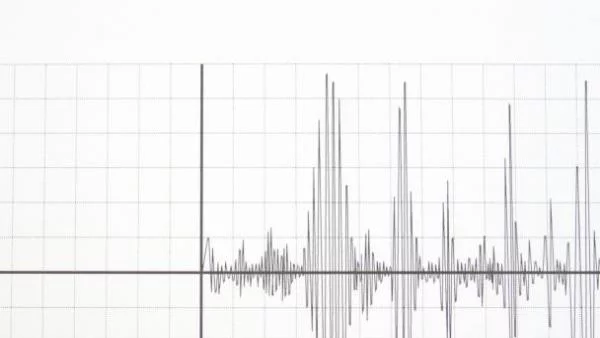 Лек трус отново е усетен в Тополовград