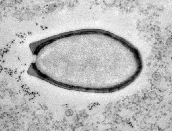 Откриха гигантски вирус с извънземен произход